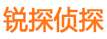 杨浦市调查公司